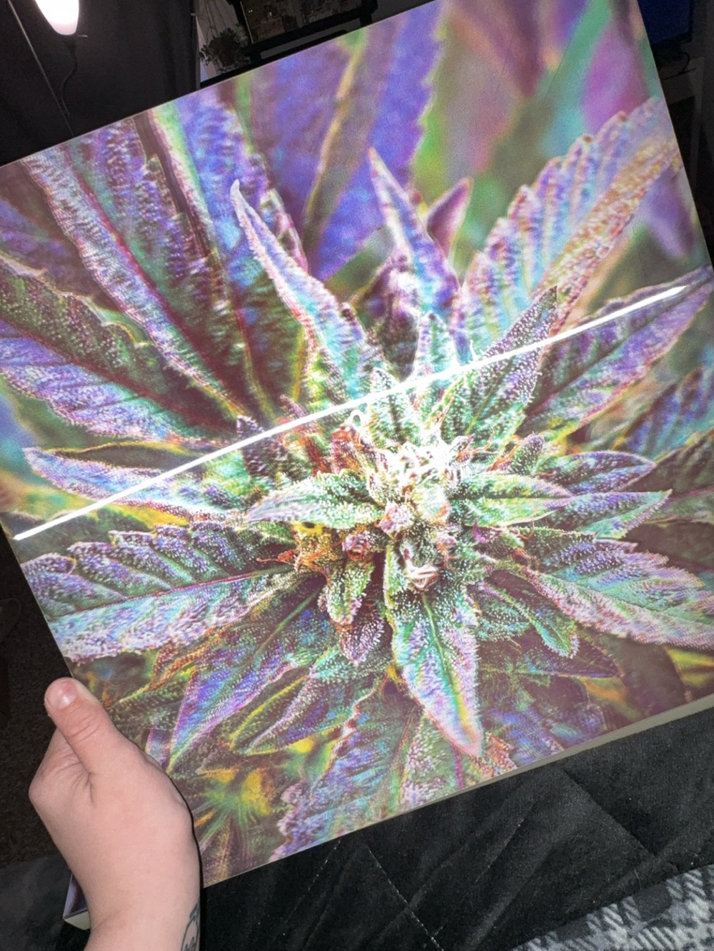 Psychedelic Cannabis Plant Art Print - Multicolor